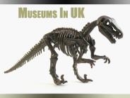 Museums in UK