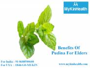 Health Benefits Of Pudina For Elders