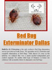 bed bug exterminator dallas