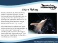 Panama City Beach Fishing Guide PowerPoint PPT Presentation