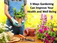 5 Ways Gardening Can Improve Your Health and Well Being PowerPoint PPT Presentation