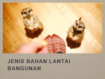 Jenis Bahan Lantai Bangunan