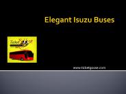Elegant Isuzu Buses