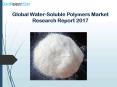 Global water soluble polymers market research report 2017 PowerPoint PPT Presentation