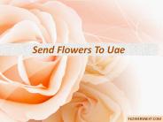 Send Flowers To Uae