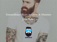 Learn How To Maintain A Beard