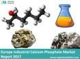 Europe Industrial Calcium Phosphate Market - Industry Trend Analysis Report 2017 PowerPoint PPT Presentation
