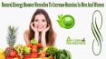 Natural Energy Booster Remedies To Increase Stamina In Men And Women PowerPoint PPT Presentation