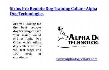 Sirius pro remote dog training collar - Alpha dog technologies