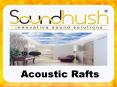 Acoustic Rafts PowerPoint PPT Presentation