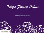 Tulips Flowers Online - www.wholeblossoms.com (1)