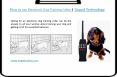 How to use Electronic Dog Training Collar - Doged Technology PowerPoint PPT Presentation
