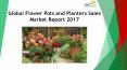 24 Market Reports: Global Flower Pots and Planters Sales Market Report 2017 PowerPoint PPT Presentation