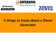 5 things to know about a Diesel Generator