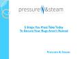 5 Steps You Must Take Today To Ensure Your Rugs Aren’t Ruined PowerPoint PPT Presentation