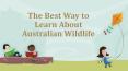 The Best Way to Learn About Australian Wildlife PowerPoint PPT Presentation