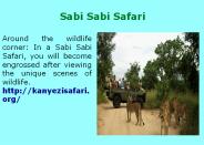 South Africa Safari Cost (1)