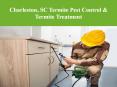 Charleston, SC Termite Pest Control & Termite Treatment PowerPoint PPT Presentation