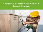 Charleston, SC Termite Pest Control & Termite Treatment