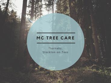 Mc Tree Care