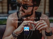 Features  Perfect Beard Trimmer should have!