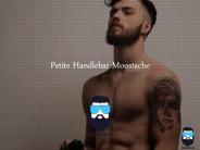 Petite Handlebar Moustache Style