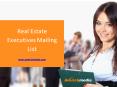 Power Your Marketing Campaigns With Real Estate Agents Direct Mailing Lists PowerPoint PPT Presentation