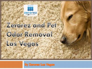 Zerorez and Pet Odor Removal Las Vegas