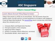 What is Annual Filing?