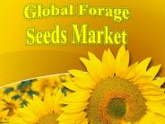 Global Forage Seeds Market
