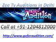 How to get into Zee TV Auditions in Delhi PowerPoint PPT Presentation