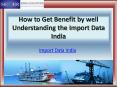 How to Get Benefit by well Understanding the Import Data India (1) PowerPoint PPT Presentation
