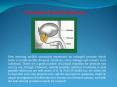 Oregano oil prostate treatment PowerPoint PPT Presentation