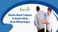 Effective Natural Treatment To Dissolve Kidney Stones Without Surgery PowerPoint PPT Presentation