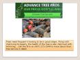 Tree removal company orlando PowerPoint PPT Presentation