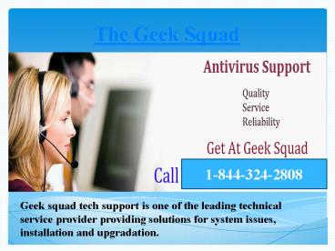 Geek Squad Services