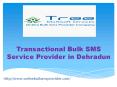 Transactional SMS in dehradun PowerPoint PPT Presentation