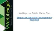 Magento development services in naperville