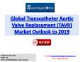 Global Transcatheter Aortic Valve Replacement Market Size, Growth Analysis and 2019 Forecasts PowerPoint PPT Presentation