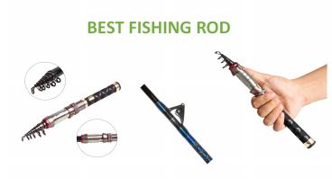 Best Fishing Rod
