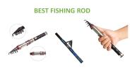 Best Fishing Rod