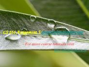 CS 161 Assignment 5/tutorialoutletdotcom