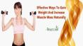 Effective Ways To Gain Weight And Increase Muscle Mass Naturally PowerPoint PPT Presentation