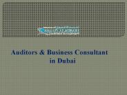 Auditors in UAE Dubai