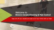 Dinno's Carpet Cleaning & Pest Control