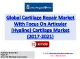 Cartilage Repair Market – Global Industry Analysis, Size, Share, Growth, Trends, and Forecast 2017 – 2021 PowerPoint PPT Presentation