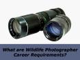 What are Wildlife Photographer Career Requirements? | Tony Henrik Halttunen PowerPoint PPT Presentation
