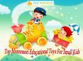 Top Montessori Educational Toys For Small Kids