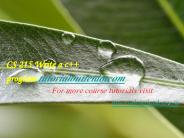 CS 215 Write a c++ program/tutorialoutletdotcom