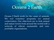 Affordable Wildlife and Animal Volunteer in Abroad